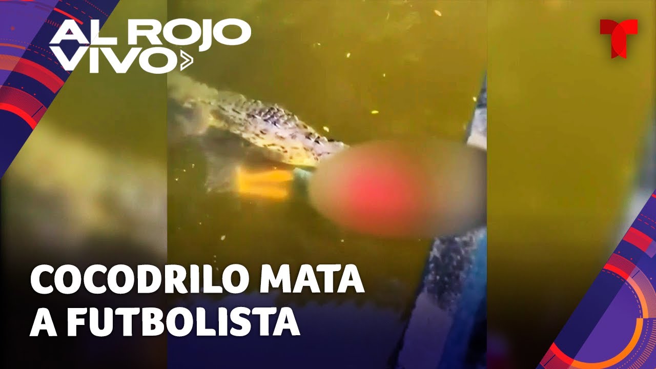 Ataque de cocodrilo a futbolista: qué sucedió y lecciones aprendidas 1 ataque cocodrilo a futbolista