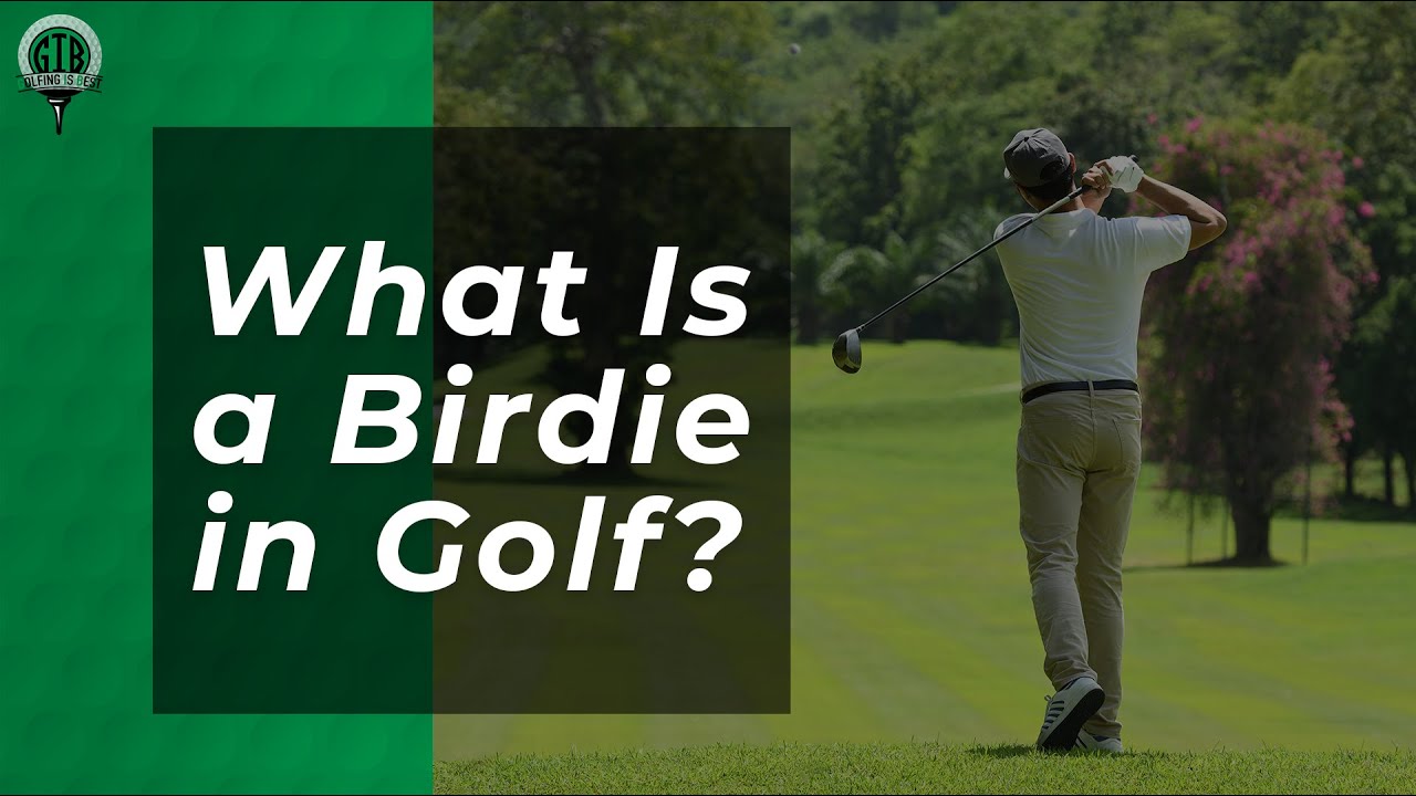 Birdie en golf: significado y curiosidades sobre el término ave en el deporte 1 bird that's also a term in golf